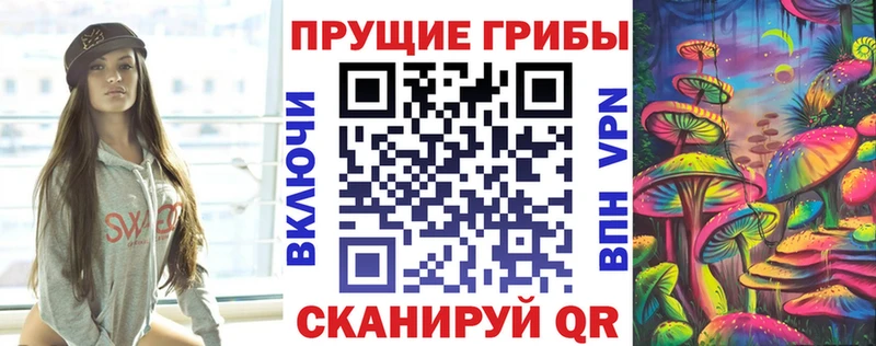 дарнет шоп  Усть-Лабинск  Псилоцибиновые грибы Psilocybine cubensis 
